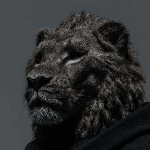 Example of an image generated in MidJourney