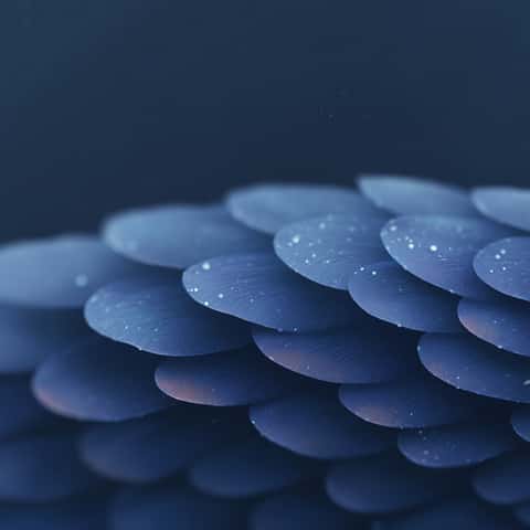 Example of an image generated in MidJourney