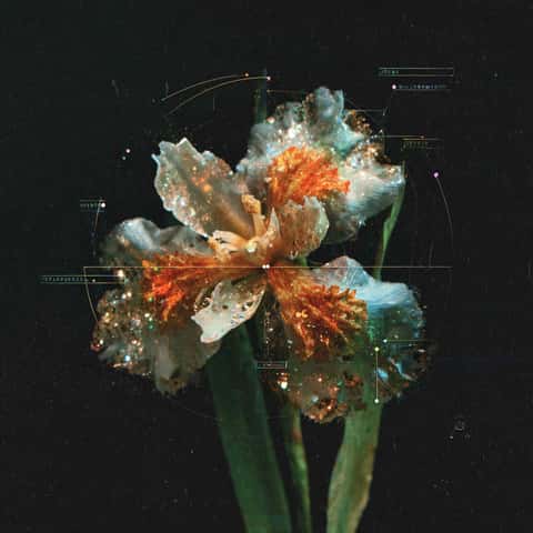 Example of an image generated in MidJourney