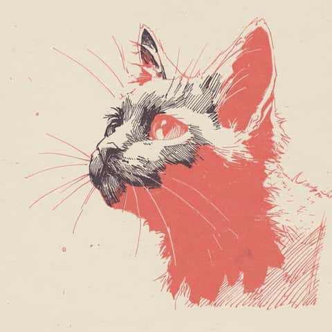 Example of an image generated in MidJourney