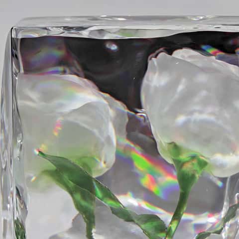 Example of an image generated in MidJourney