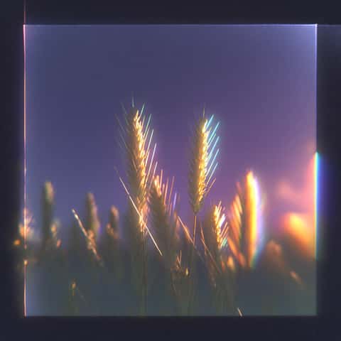 Example of an image generated in MidJourney