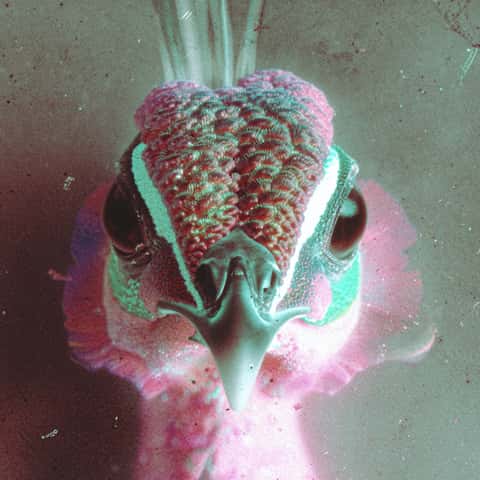 Example of an image generated in MidJourney