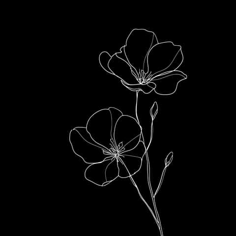 Example of an image generated in MidJourney