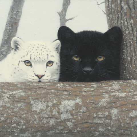 Example of an image generated in MidJourney