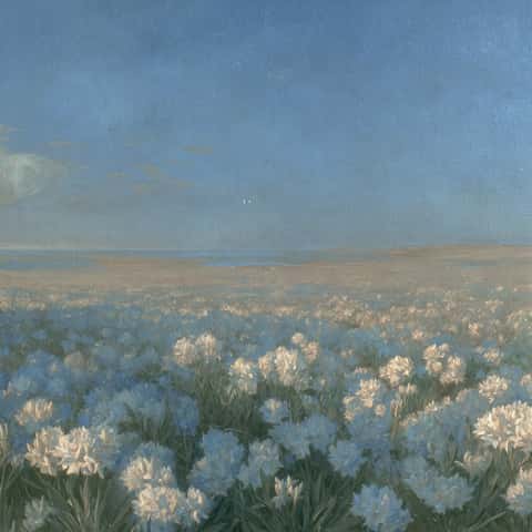 Example of an image generated in MidJourney