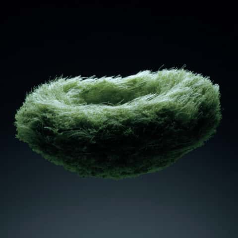 Example of an image generated in MidJourney