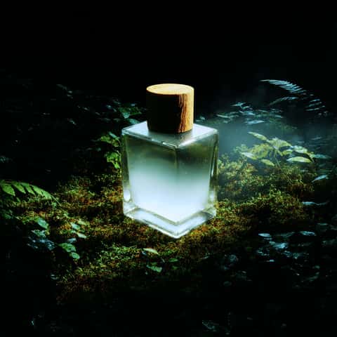 Example of an image generated in MidJourney