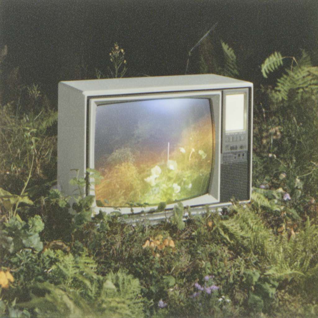 Example of an image generated in MidJourney