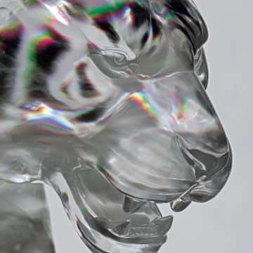 Example of an image generated in MidJourney