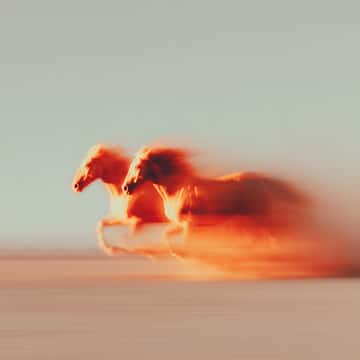Example of an image generated in MidJourney