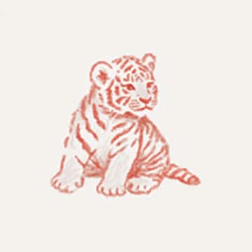 Example of an image generated in MidJourney