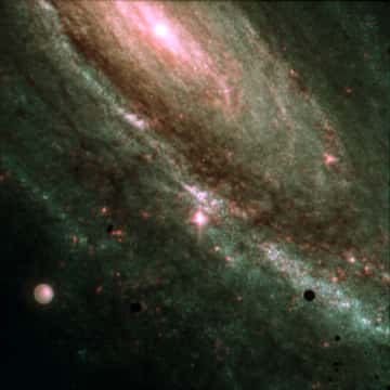 Example of an image generated in MidJourney