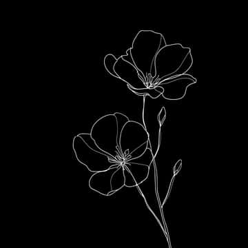 Example of an image generated in MidJourney