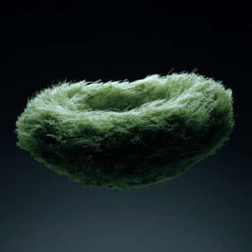 Example of an image generated in MidJourney