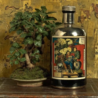 Example of an image generated using the prompt --sref 1400910652 in Midjourney with the Photography, Vintage style