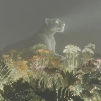 Example of an image generated using the prompt --sref 1559860301 in Midjourney with the Surrealistic style
