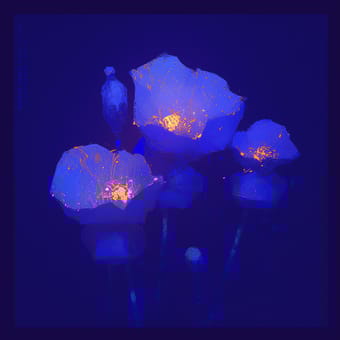 Example of an image generated using the prompt --sref 3577878952 in MidJourney