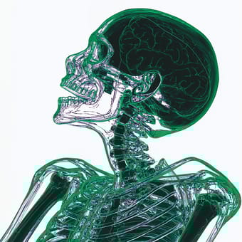 Example of an image generated using the prompt --sref 512986670 in MidJourney
