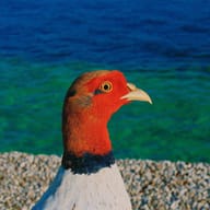 an example of an image generated in MidJourney using the prompt with the --sref 142710498, ranked 7th among the user favorites on this website.