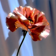 an example of an image generated in MidJourney using the prompt with the --sref 2162872416, ranked 17th among the user favorites on this website.