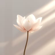 an example of an Minimalism style image generated in MidJourney using the prompt with the --sref 2176980334, ranked 12th among the user favorites on this website.