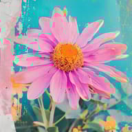 an example of an Pink style image generated in MidJourney using the prompt with the --sref 3123380360, ranked 18th among the user favorites on this website.