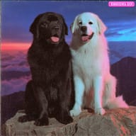 an example of an Vintage style image generated in MidJourney using the prompt with the --sref 3332013844, ranked 14th among the user favorites on this website.