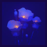 an example of an image generated in MidJourney using the prompt with the --sref 3577878952, ranked 6th among the user favorites on this website.