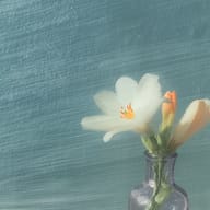 an example of an image generated in MidJourney using the prompt with the --sref 4089868573, ranked 17th among the user favorites on this website.