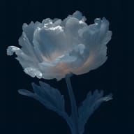an example of an Surrealistic style image generated in MidJourney using the prompt with the --sref 450960980, ranked 9th among the user favorites on this website.