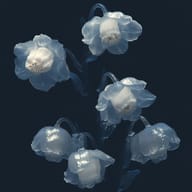 an example of an Surrealistic style image generated in MidJourney using the prompt with the --sref 450960980, ranked 9th among the user favorites on this website.