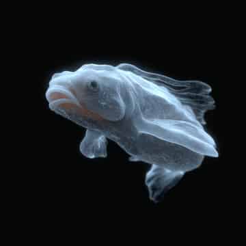Example of an image generated in MidJourney